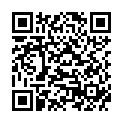 QR DAMASCENA Raumduft Kiefer m Holzstäbchen